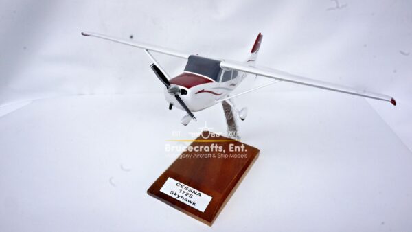 Cessna 172 Skyhawk OE-DTA - Image 12